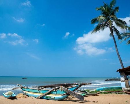 Aloe Vera Villa Negombo Dış mekan fotoğraf