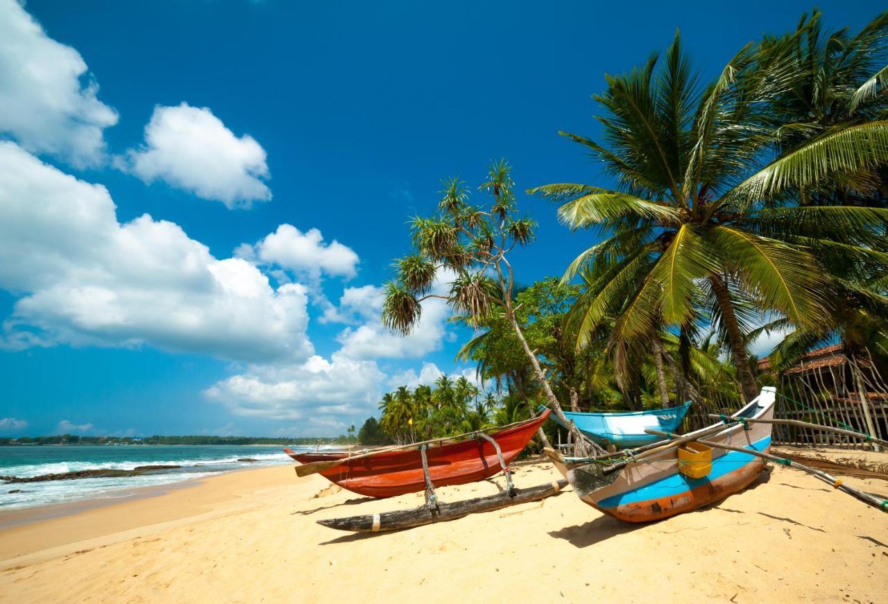 Aloe Vera Villa Negombo Dış mekan fotoğraf