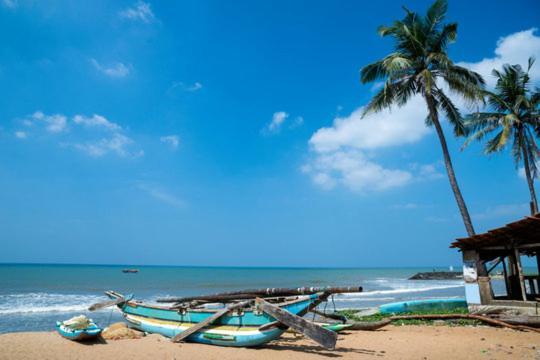 Aloe Vera Villa Negombo Dış mekan fotoğraf