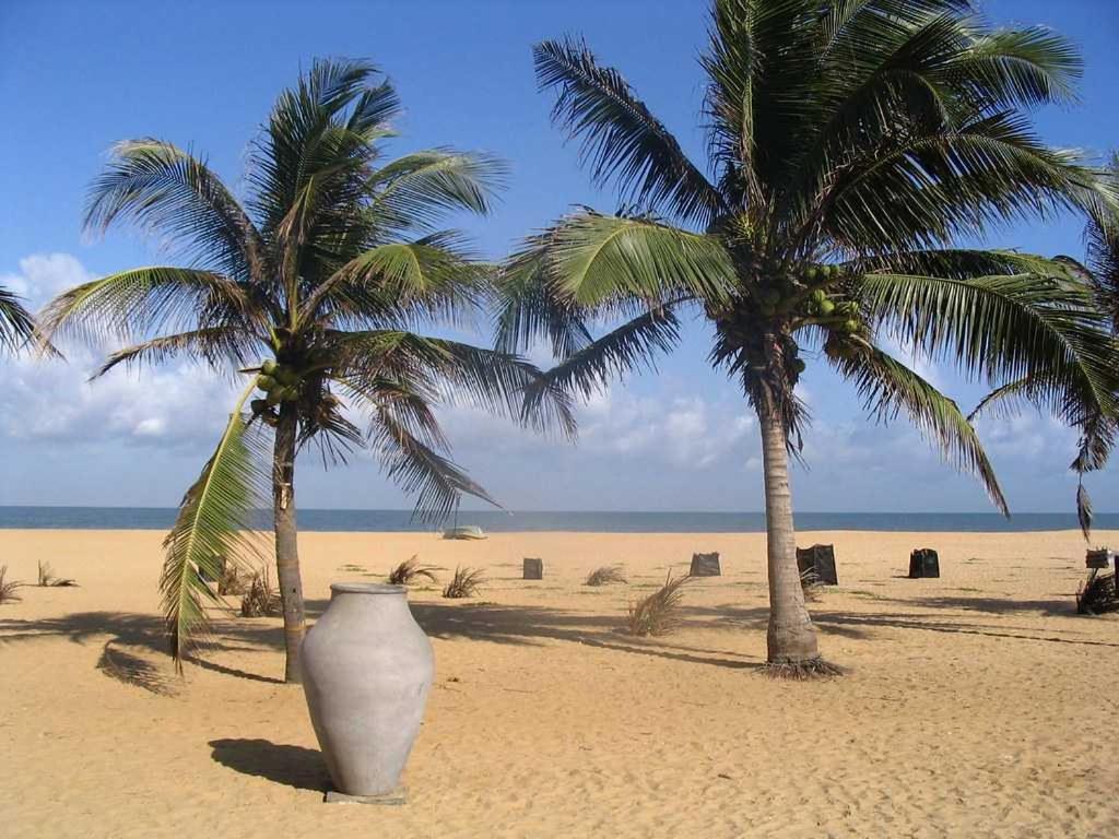 Aloe Vera Villa Negombo Dış mekan fotoğraf
