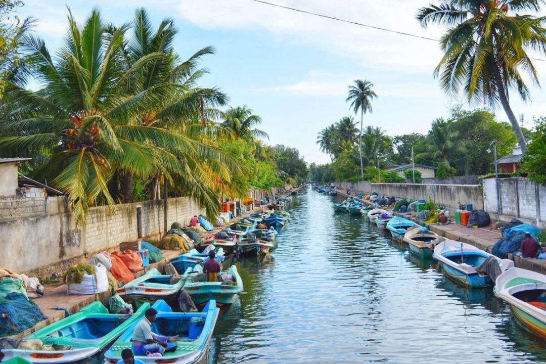 Aloe Vera Villa Negombo Dış mekan fotoğraf